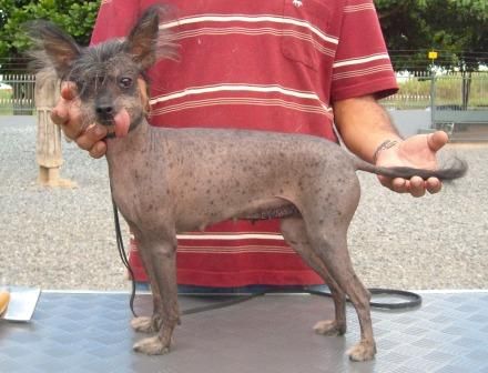 Ulla Pelada do Baktaran