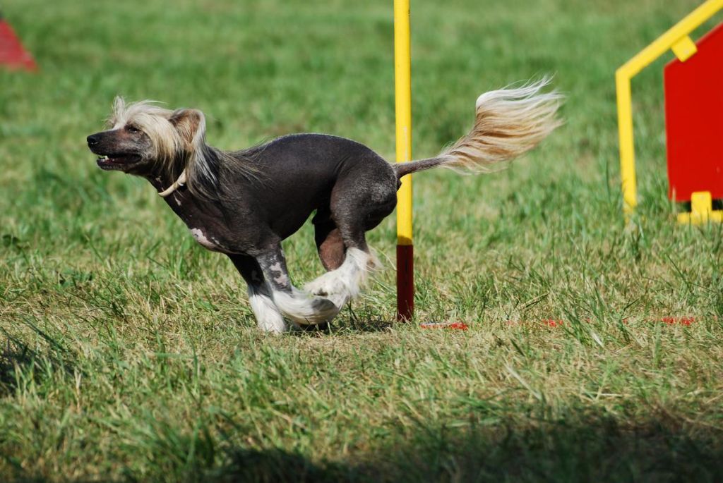 Baltazar od Jihlavské brány