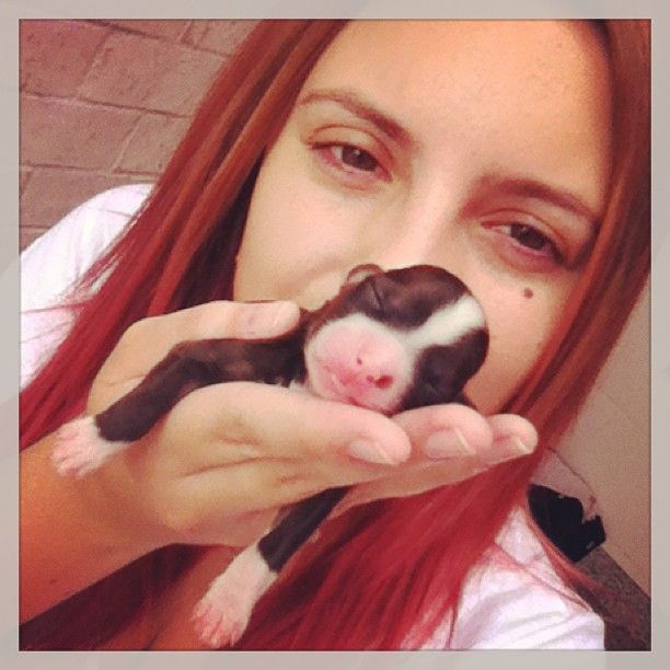 Moonbow's Beyoncé Knowles