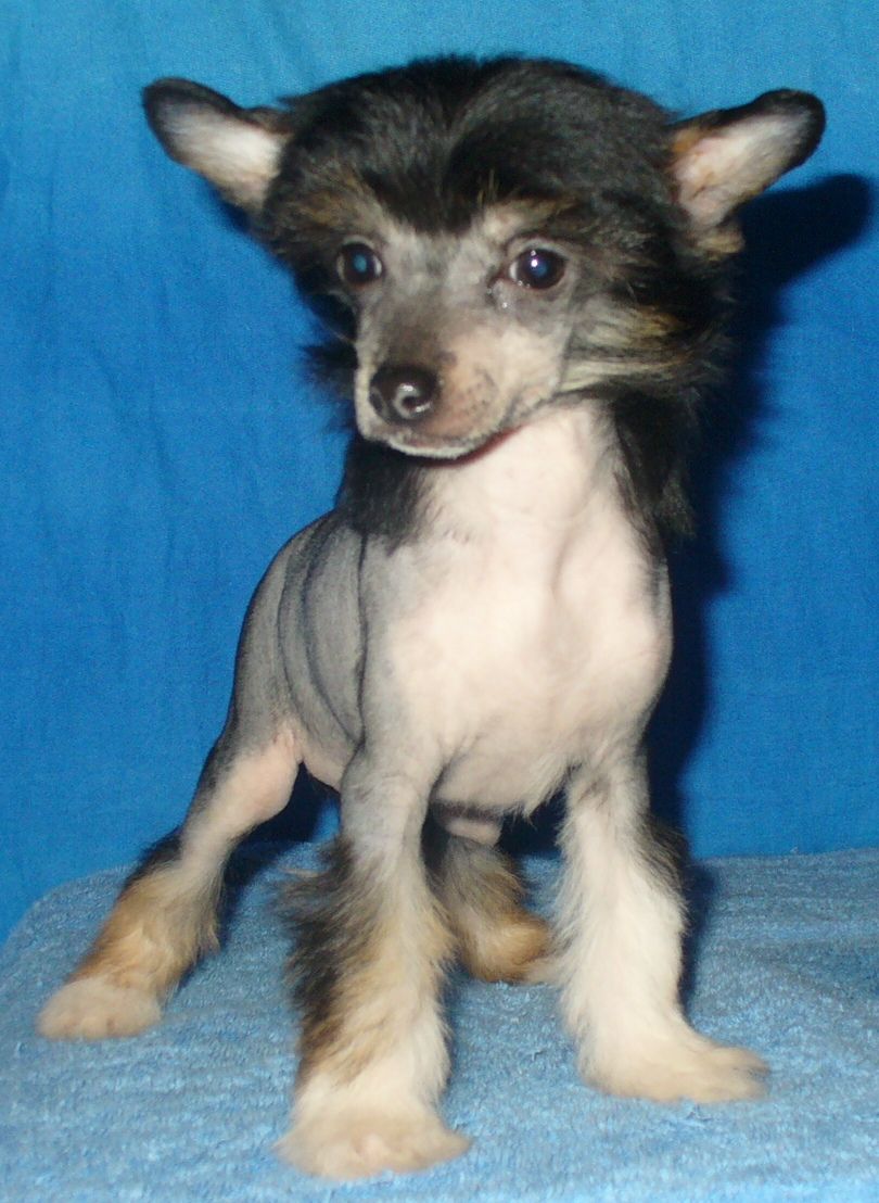 Finezza Armonia di Colori