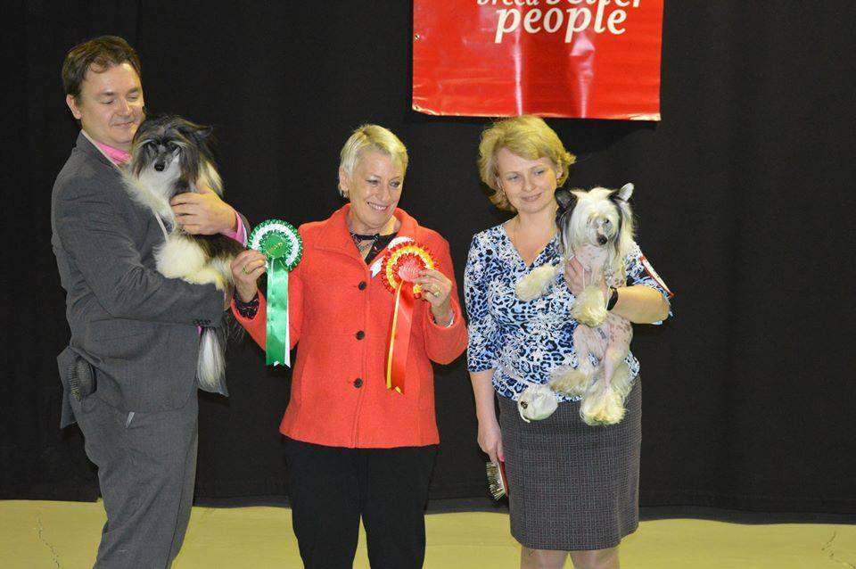 Verona Bizarro Beleza