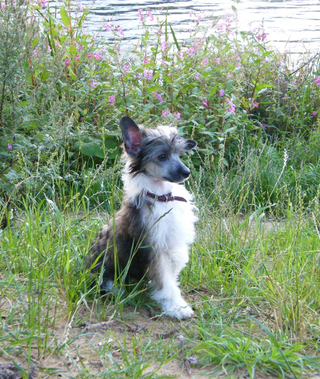 Fantastik Kashmir Eva Jumping To Heaven