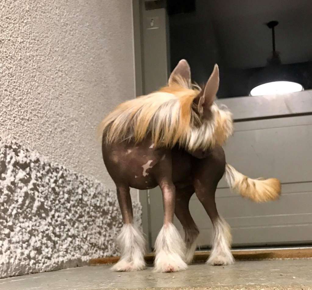 Touch My Soul Asterix