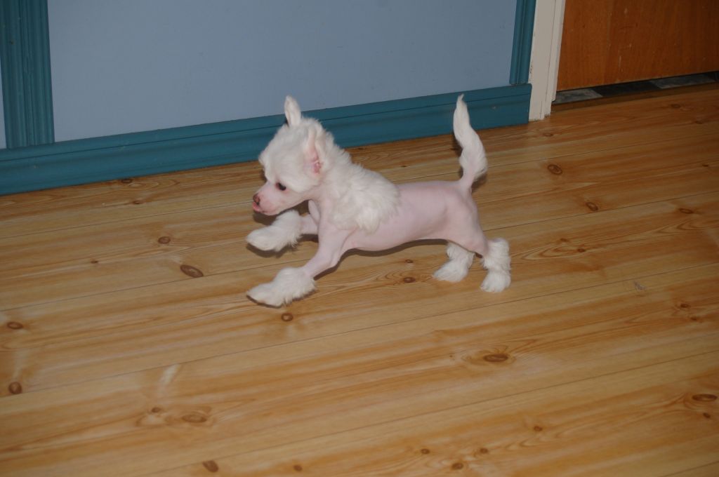 De La Mahafu's Beauty's Izzi