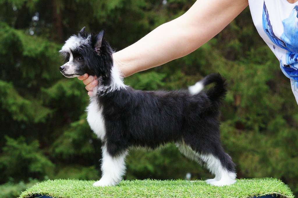 Incanto Del Mondo Omega