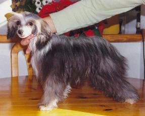 Vilda de Piedra Caida