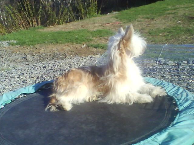 Angels Of Joy Almost Blessed