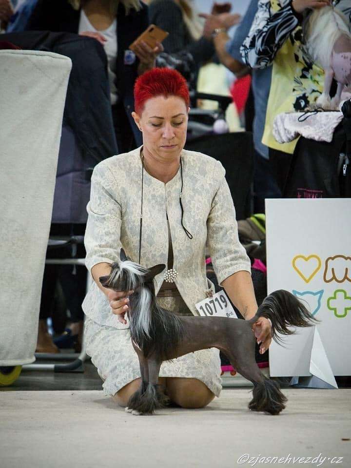 Energy Di Hanny-Fanny