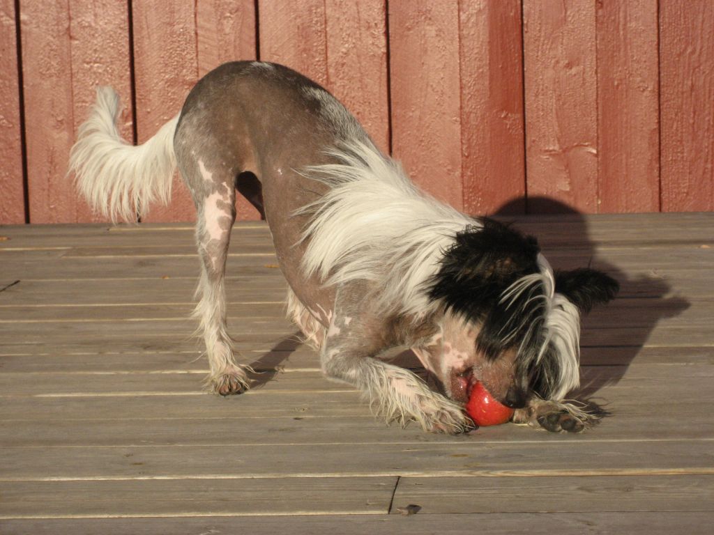 Cute and Crazy I'm Nikki