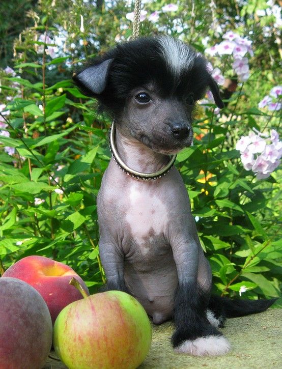 Angel O' Check Ya - Super.