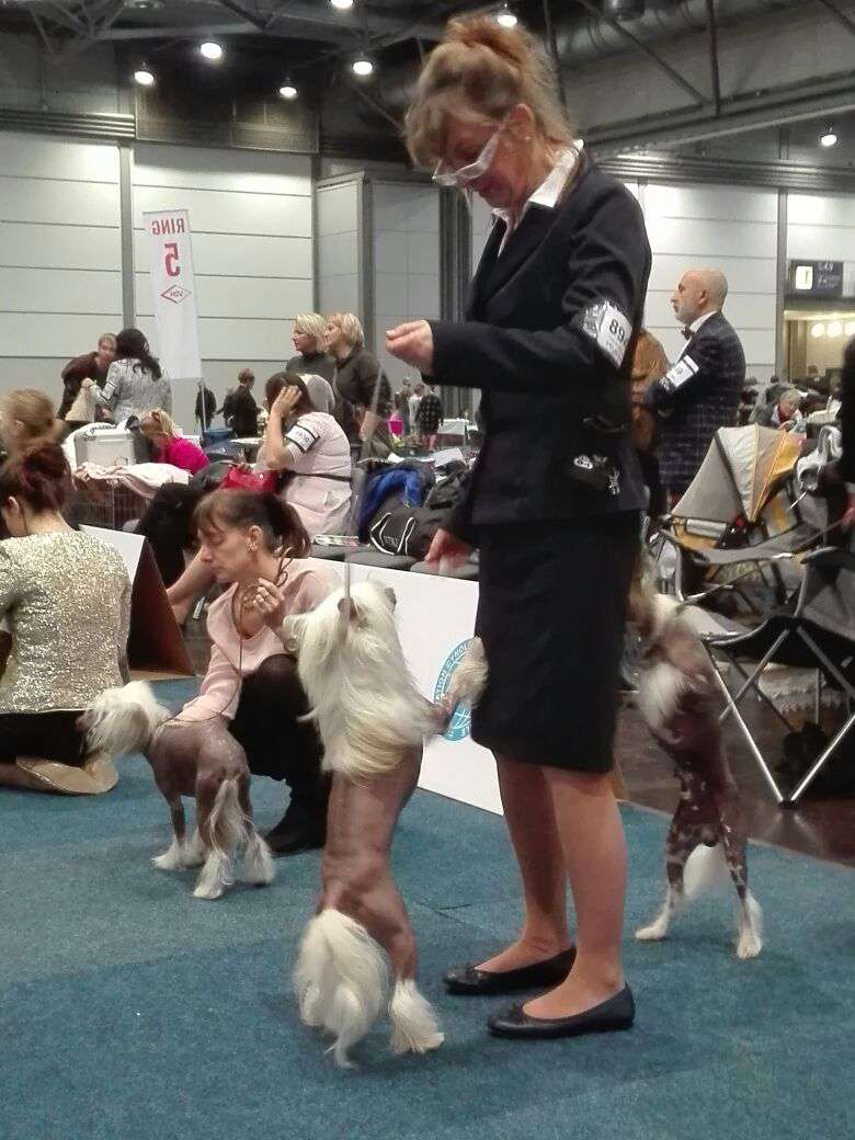 Easy von Dolce Diamante