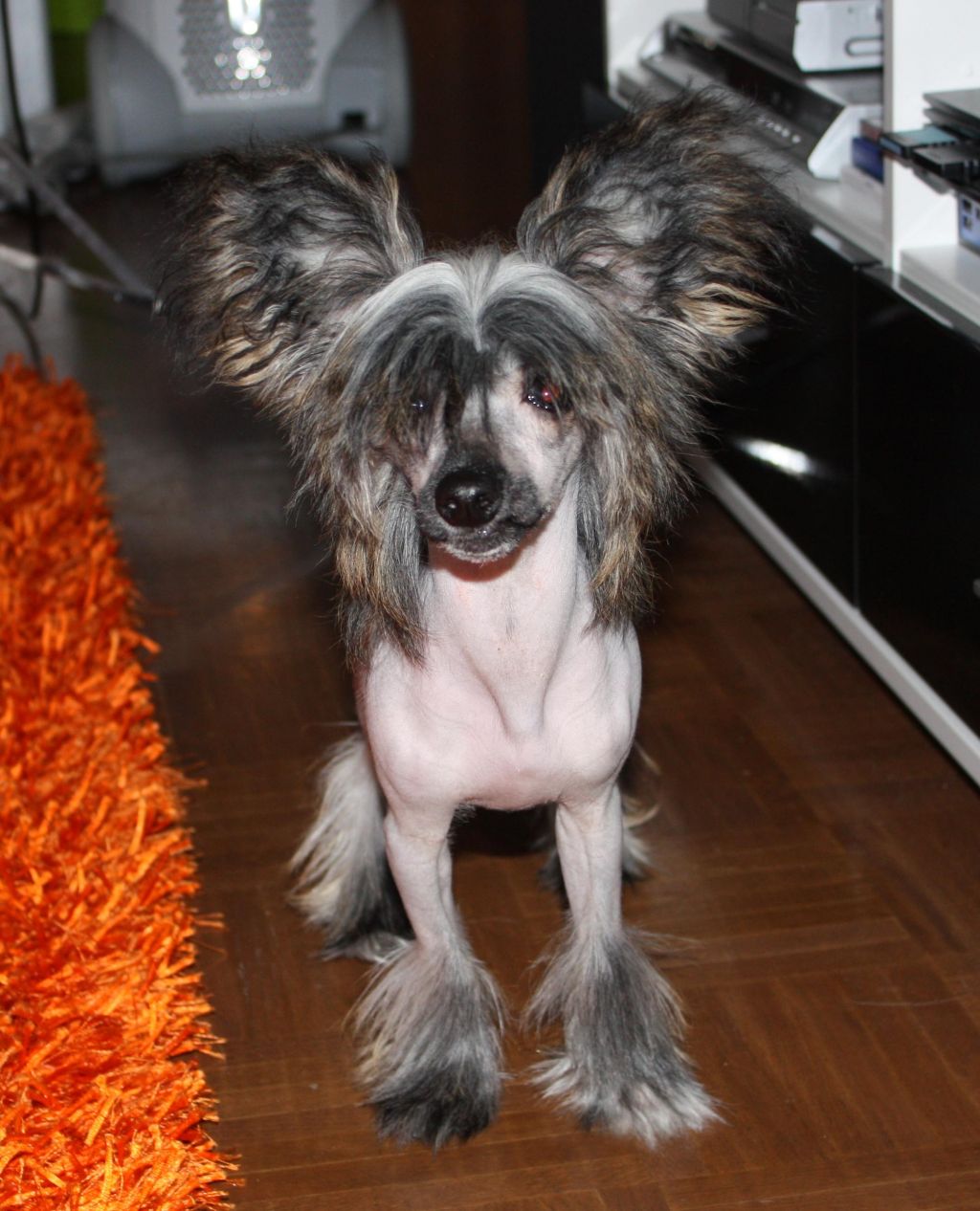 Pinky Twinky Soul On Fire