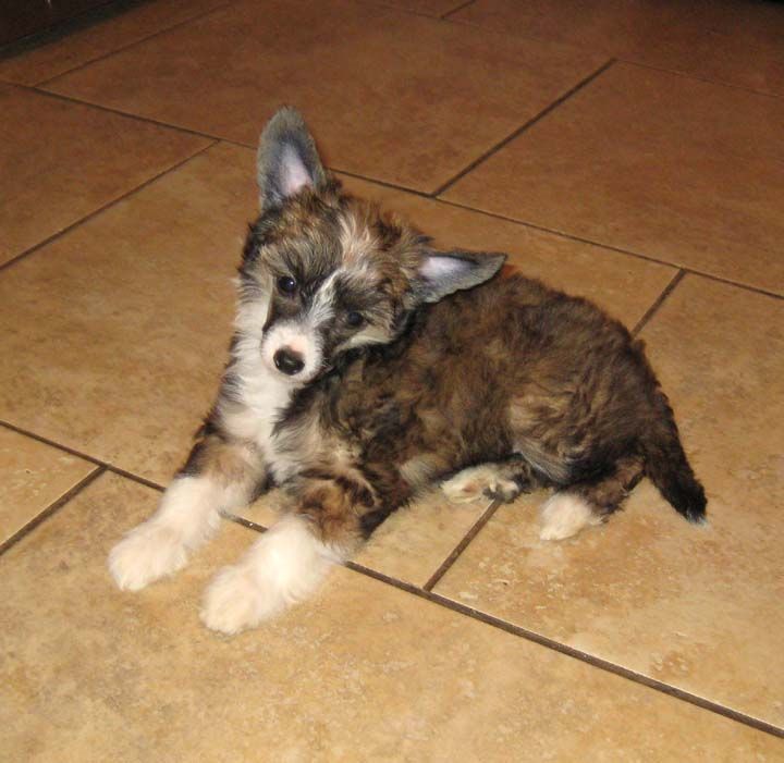 Jewles Gone Baby Gone