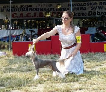 Hit iz Jablonevogo Sada