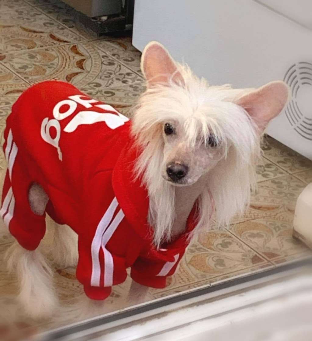 Alex Prince Miracolo Dell'anima