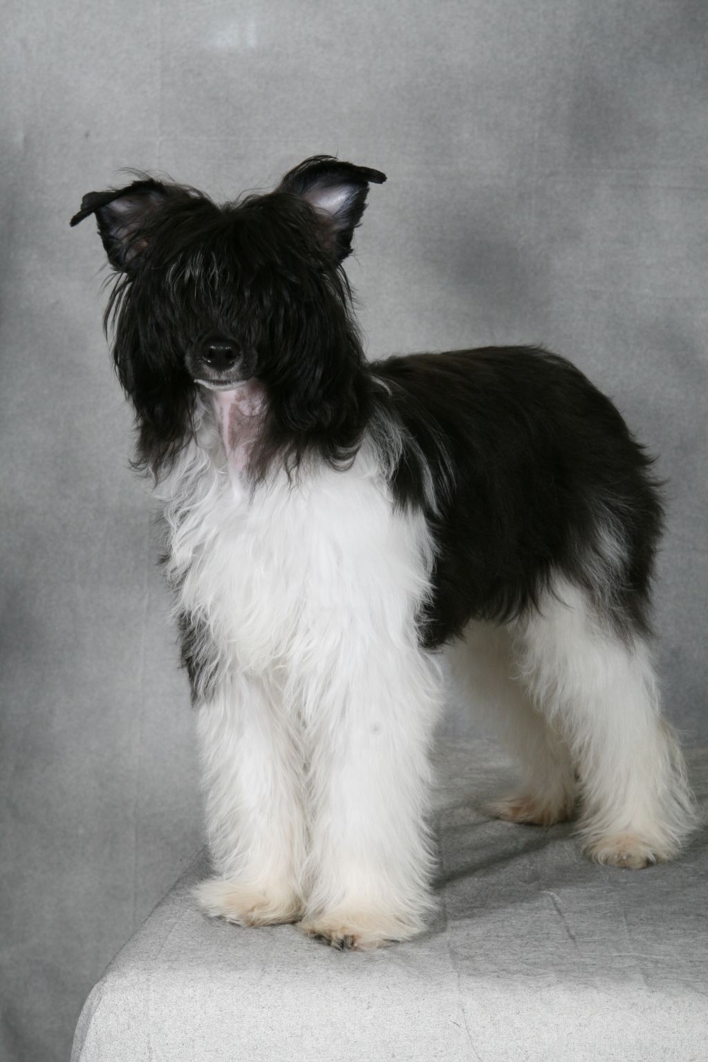 Daretobebare Lilly Of The Valley