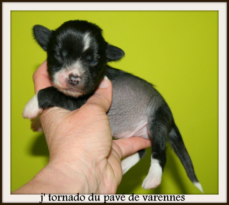 j'tornado du pavé de varennes