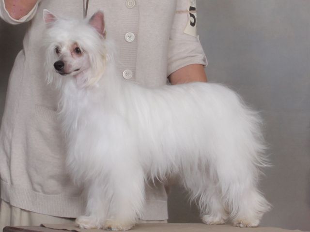 Yorkhouse Believe in Miracles