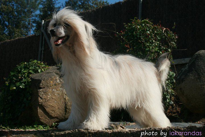 Currara Taboo Gattaca