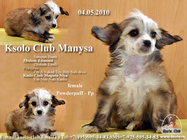 Ksolo Club Manysa