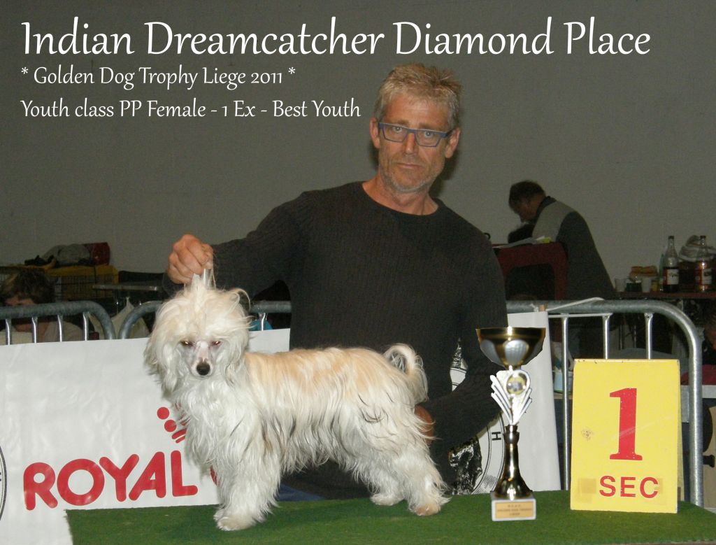 Indian Dreamcatcher Diamond Place