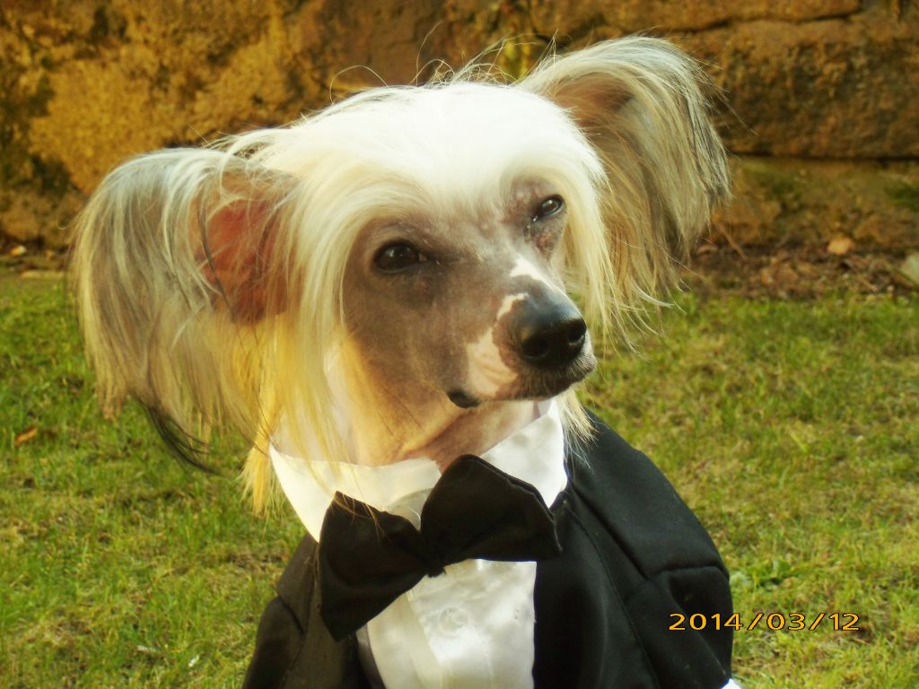 ChinoPata's Coffie Nam Nam