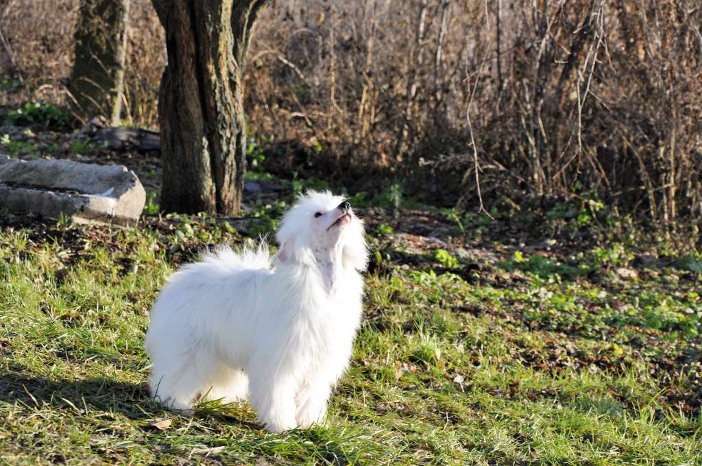 Heroina  Winning Smile