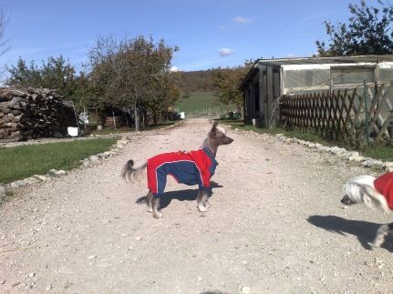 Gemme Top Model De Rama