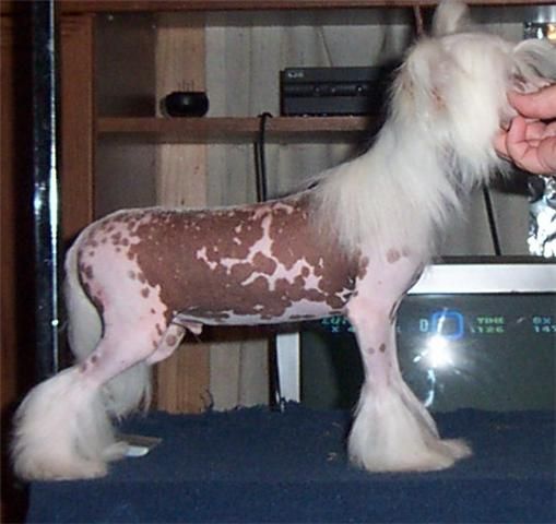 Mosaic's Seeing is Believing