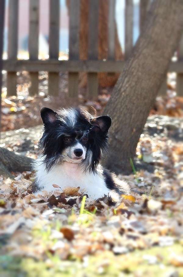 Elance Louange Edje Impossible Possible