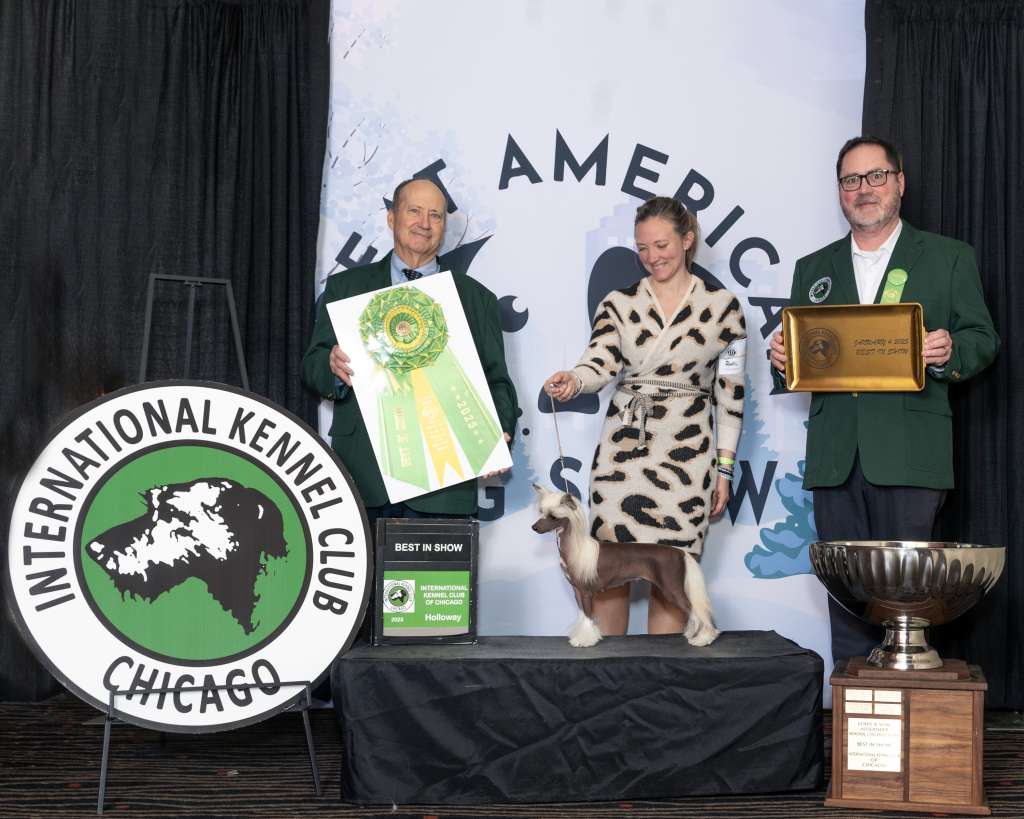 Candela MyAngel And The Winner Is...