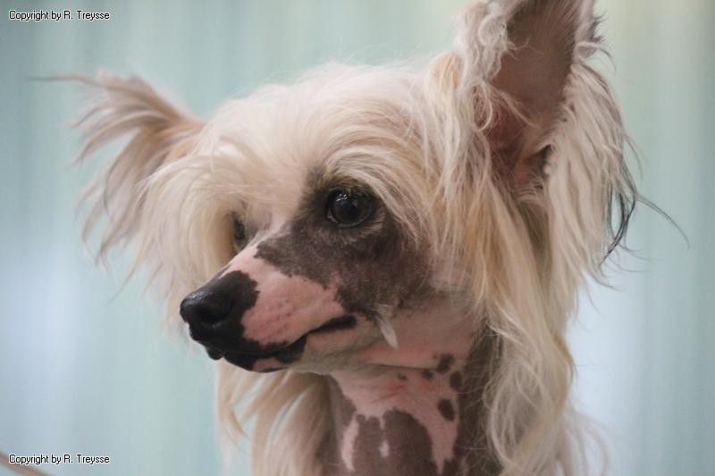 Frendor's Non Plus Ultra