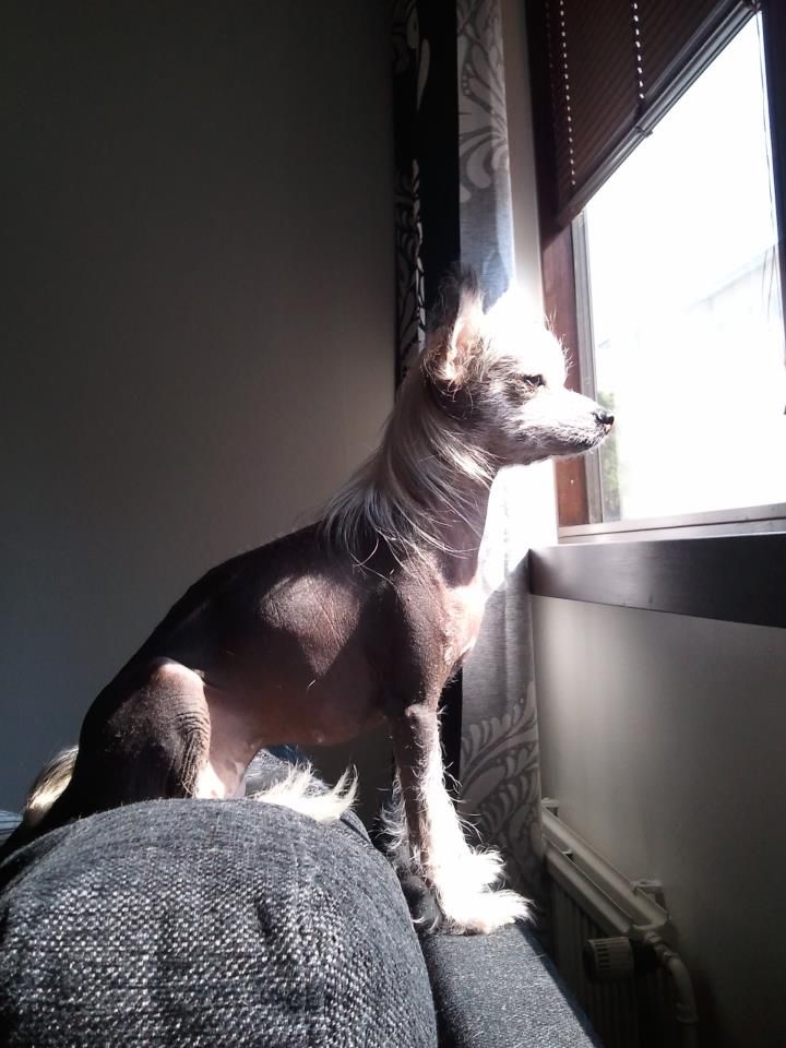 Passer-By Hasty-Girl