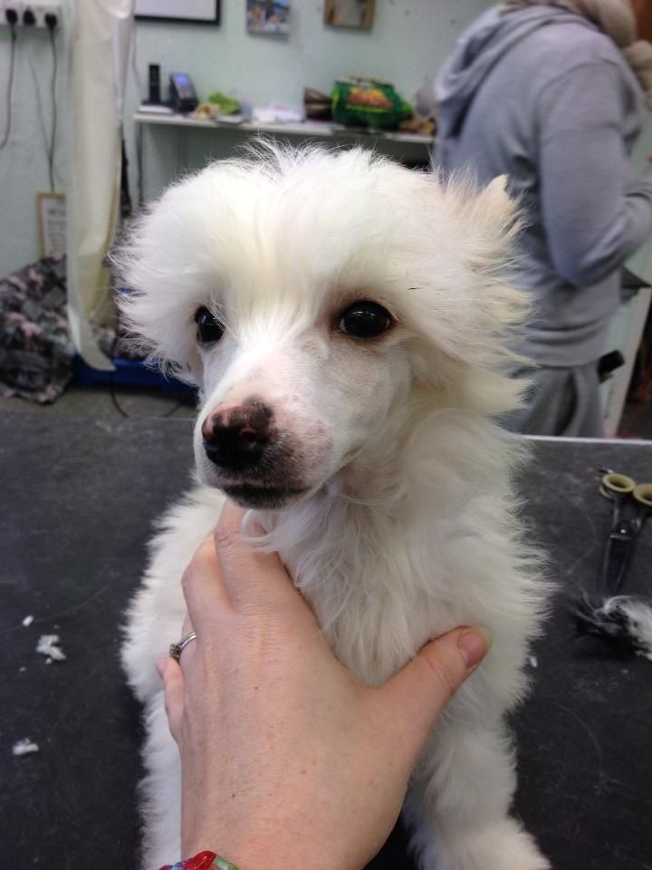 Myglees Rock With You