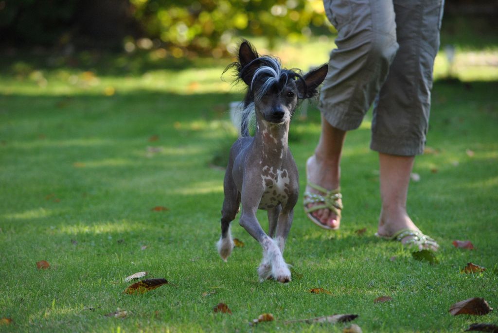 Imsospooky Island Shangri-La