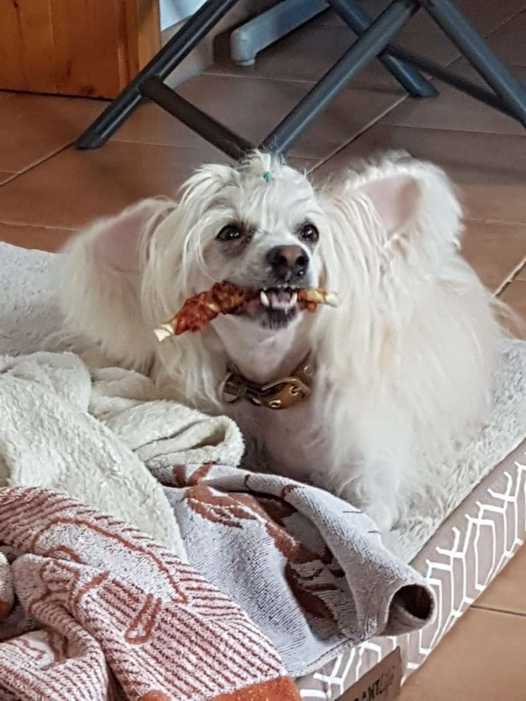 Chenglei  von Dolce Diamante