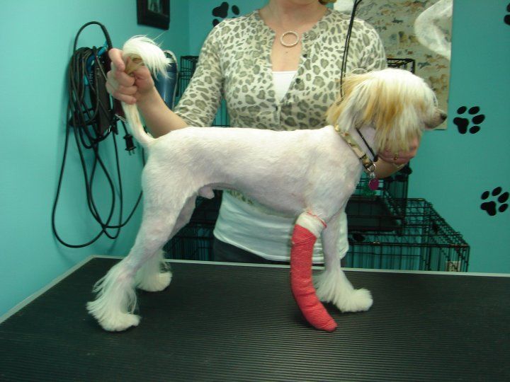 A Crash of Thunder Mahn