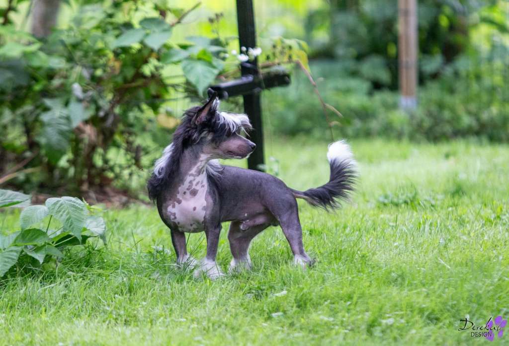 Xtra Bold Secret Relationships