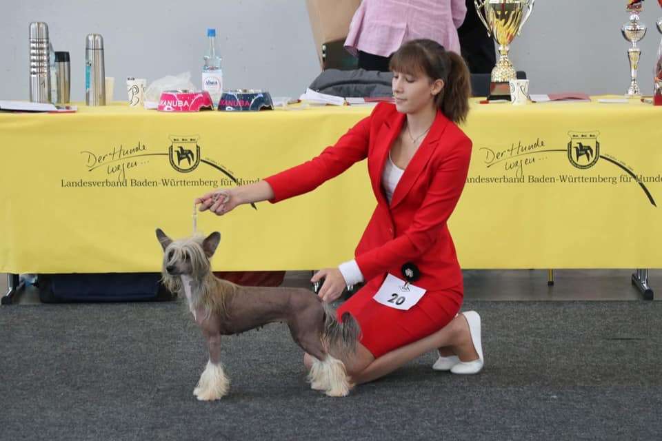 Queen Of Beauty Princes de la Roses