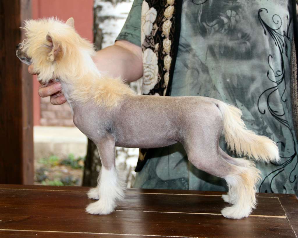 Rolana Family Matilda