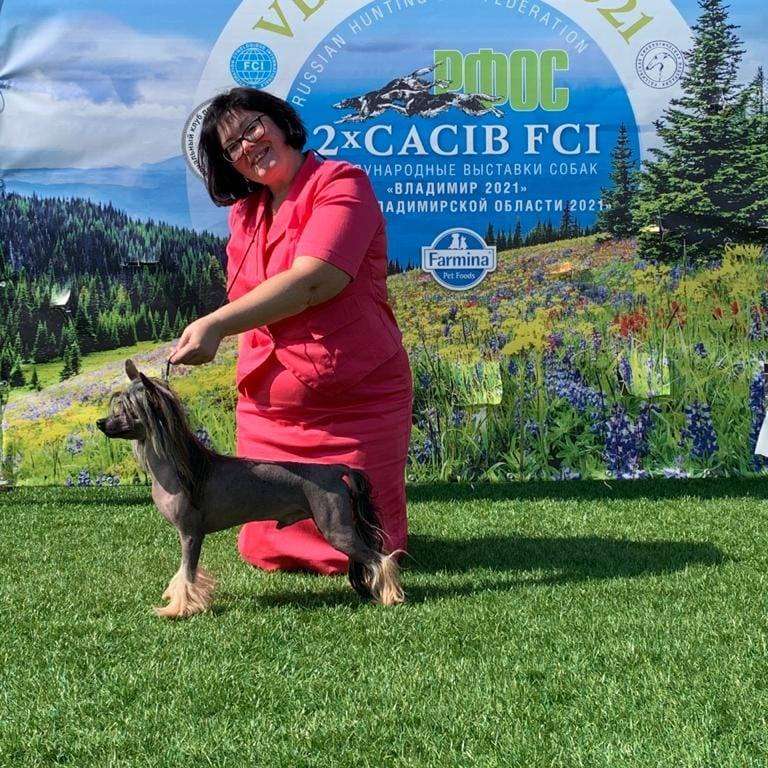 My Vanity Fair Manchester Polar Shane