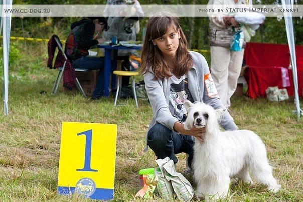 Polar Shane Igl Magic