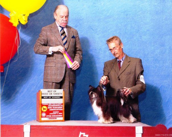 Ch. Rhetoric Dominator