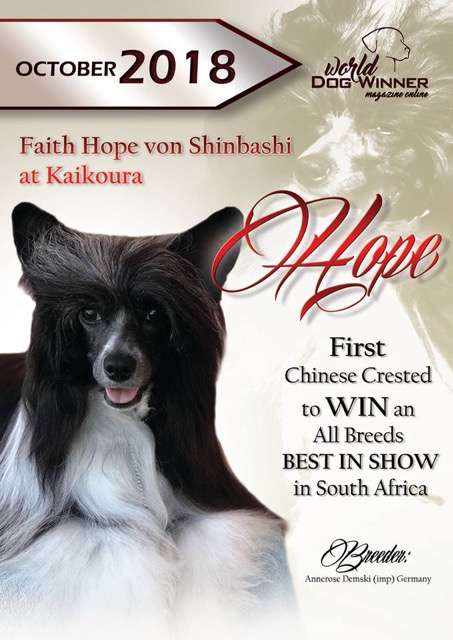 Faith Love Hope  von Shinbashi