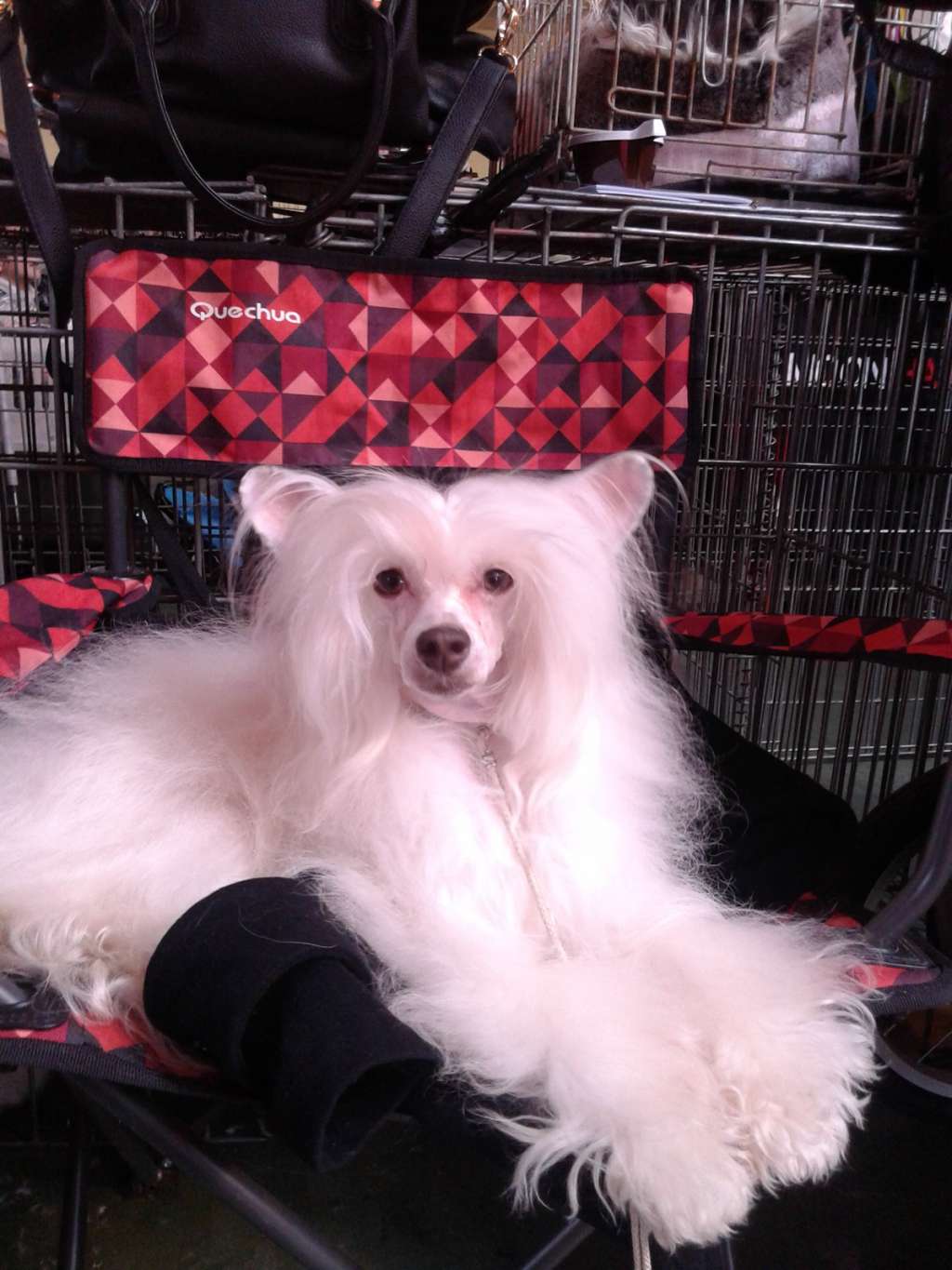 Original Stone Go To Get Victory