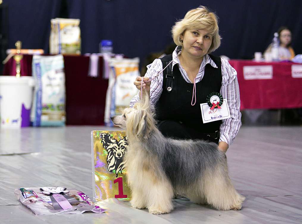 Ins Lucky Star Nieceberry Touch