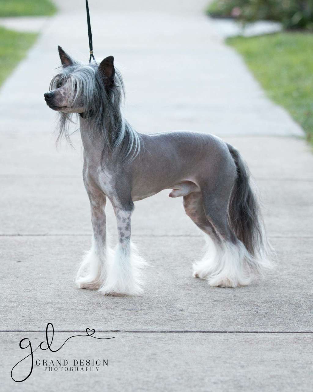 Edelweiss Oh Oh Oreo