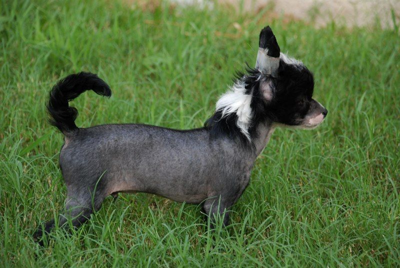 Julandi's Done Deal HL