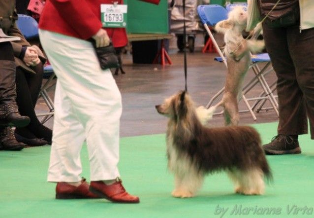 Cookie Monster Gattaca