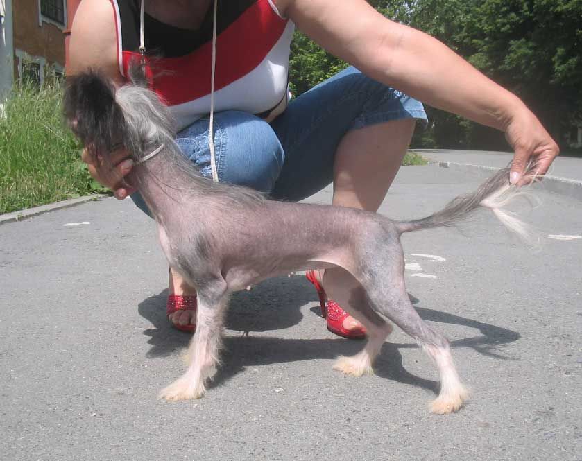 Tamerlan Beshtau Udacha Vsegda So Mnoy